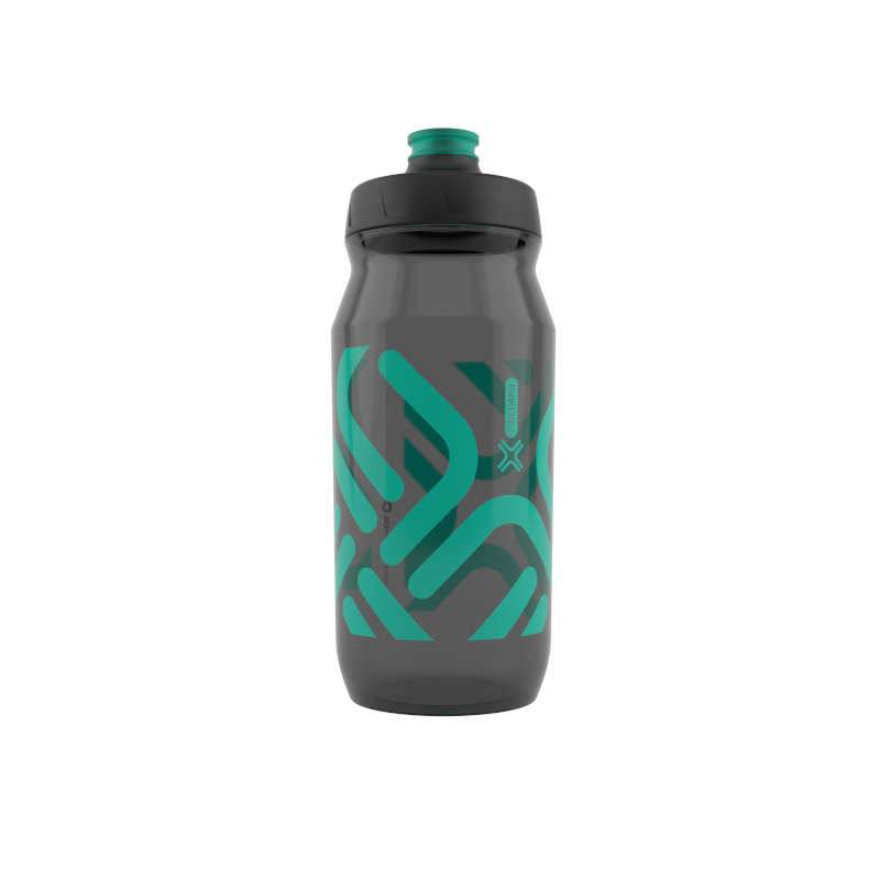 FIDGUARD BOTTLE 600 antibacterial